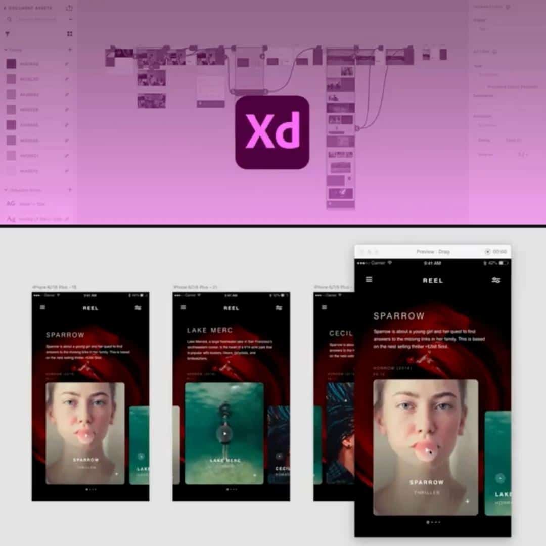 Tools We Use: Adobe XD