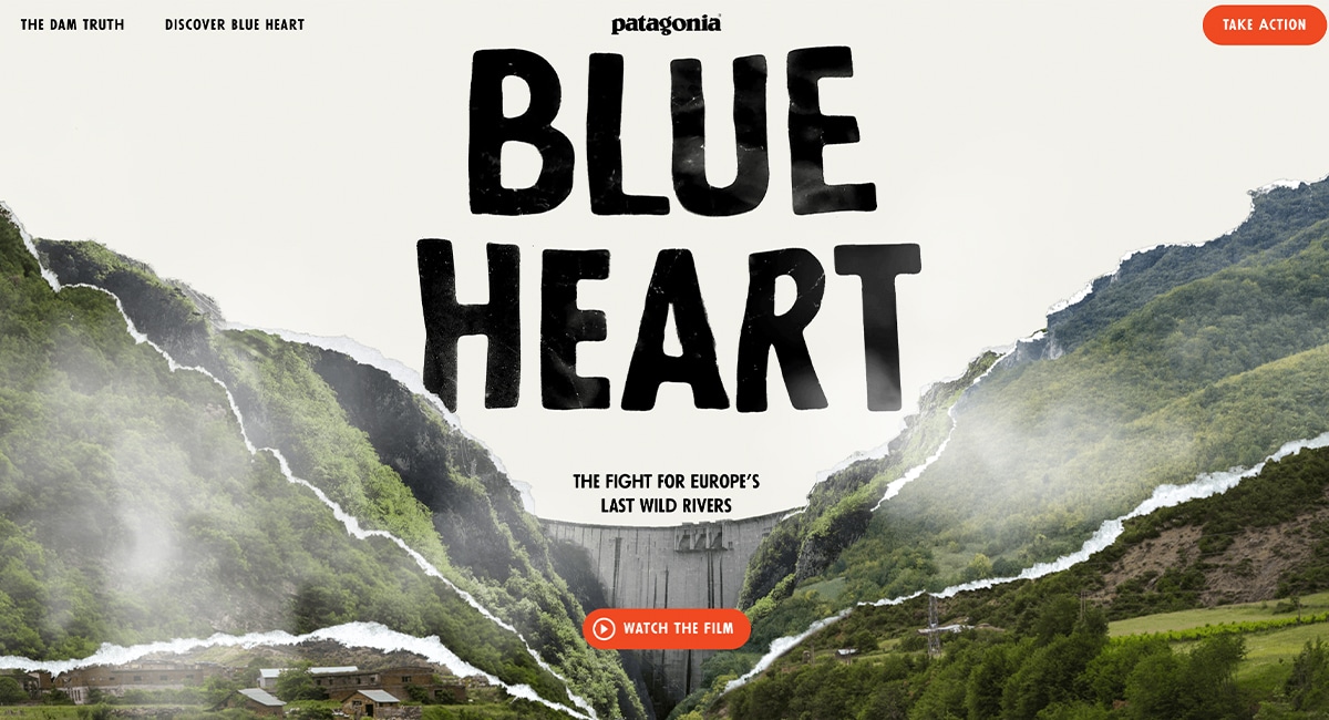 When to Use a Microsite: Examples and Benefits | Digital Ink