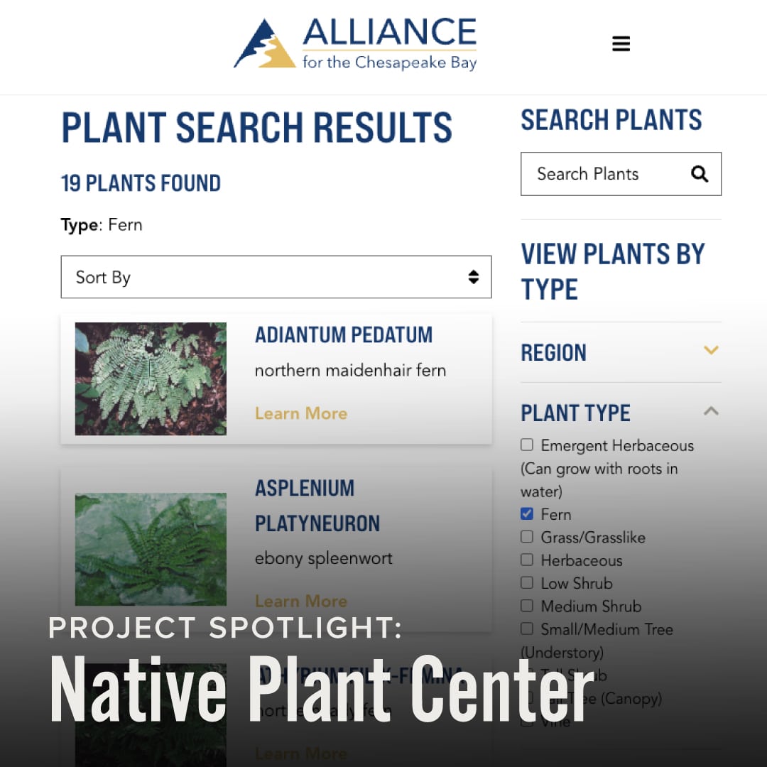 Native Plant Center
