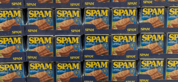 Form Spam