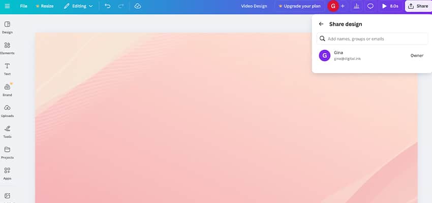 Canva Example