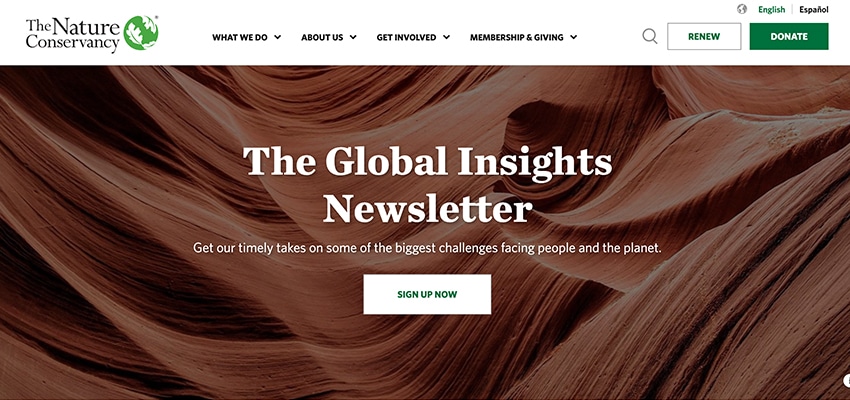 Blog Newsletter