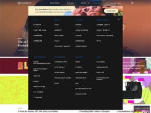 7 Examples of Creative Mega Menu Designs | Digital Ink